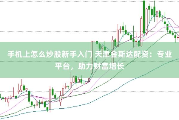手机上怎么炒股新手入门 天津金斯达配资：专业平台，助力财富增长