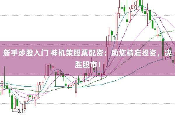 新手炒股入门 神机策股票配资：助您精准投资，决胜股市！
