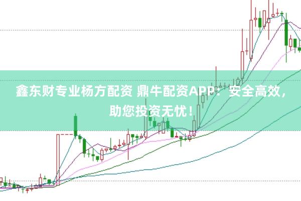 鑫东财专业杨方配资 鼎牛配资APP:安全高效,助您投资无忧!