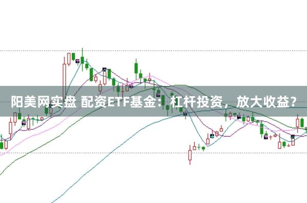 阳美网实盘 配资ETF基金：杠杆投资，放大收益？
