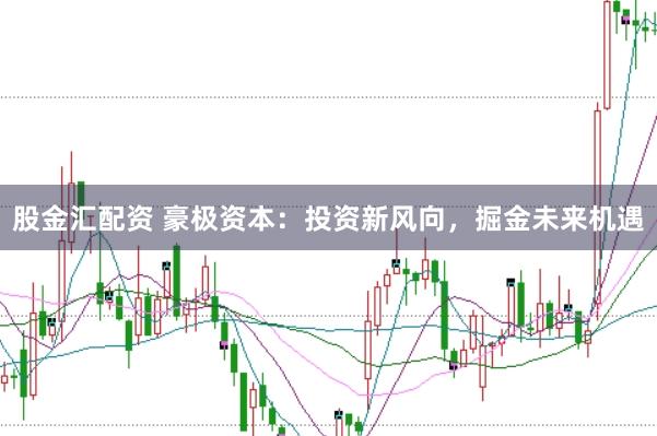 股金汇配资 豪极资本：投资新风向，掘金未来机遇