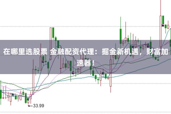 在哪里选股票 金融配资代理：掘金新机遇，财富加速器！
