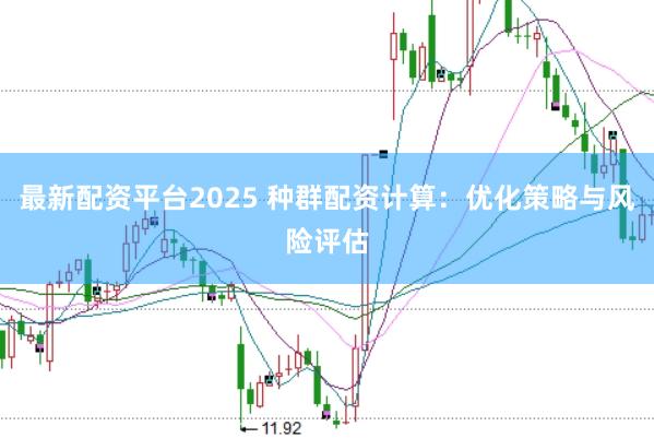 最新配资平台2025 种群配资计算：优化策略与风险评估