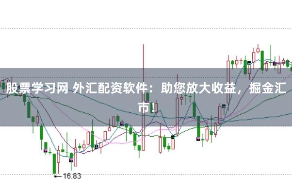 股票学习网 外汇配资软件:助您放大收益,掘金汇市!