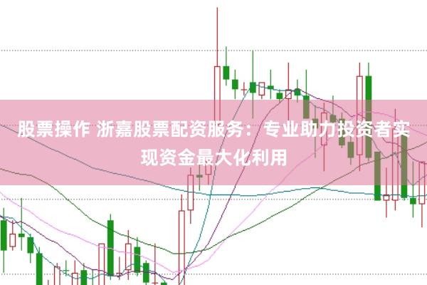 股票操作 浙嘉股票配资服务：专业助力投资者实现资金最大化利用